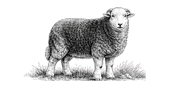 Frequently asked questions at The Shepherd’s Inn